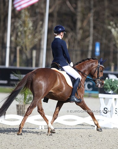 Julia Willemsen on Movie Star, who was previously shown by Marten Luiten
