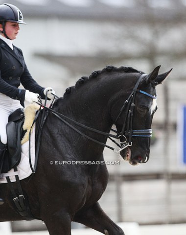 Brittany Clabots on Fluegel