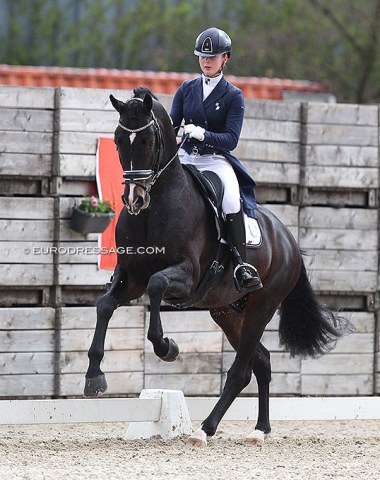 Robin Heiden on Jivandos S (by Desperado)