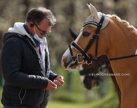 Trainer Stefan Lange feeding lumps of sugar to FS Mr. Magic