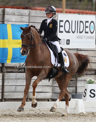 The youngest rider in the field, 11-year old Elisabeth Leduc on Campsterhoven's Baldato. Straight to an 8th place and 69.238% score in her first CDI test in her life