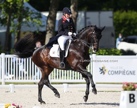 Fiona Bigwood on Hawtins Delicato. The halt at entry was not immobile and overall there could have been a bit more impulsion from behind for a higher score