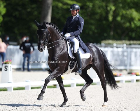 Jordi Domingo's Esprit Dond D looked a bit tired today but the horse certainly has quality for the future