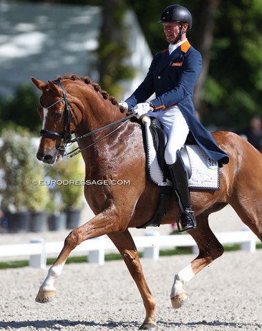 Riding with a tear in his heel, Nars Gottmer on Goldenboy Vinckenburgh (by Apache x Olivi). Horse has a very "Dutch" way of moving