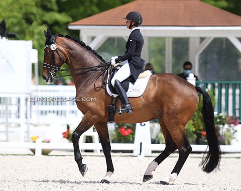 Swiss Charlotte Lenherr's Sir Stanley W (by Stedinger x Florencio) had one of the best classical piaffes of the day. Overall the ride needed a bit more oomph