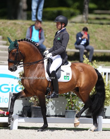 Brazilian Joao Marcari Oliva on the petite Lusitano licensed stallion Escorial HorseCampline, riding a personal best with this horse