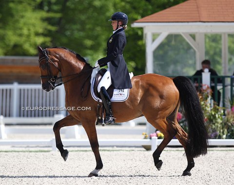 Antonia Ramel on her second GP horse Curiosity