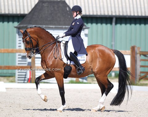 Swedish Malin Wahlkamp-Nilsson on the talented 10-year old Wurttemberger Amplemento (by Ampere x Sir Oldenburg), owned by the Ramel sisters