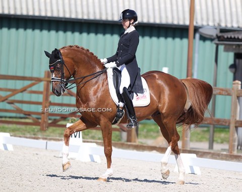 Australian Simone Pearce took Double Joy from Ornago to Grote Brogel to qualify him as a back-up horse for Tokyo