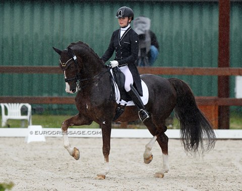 Russian Maria Schuvalova on the KWPN registered Dutch harness horse Famous Cross (by Patijn x Manno)