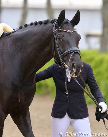 Fürstenball puts a stamp on all his offspring: Fürstin H.B.of Isabell Nowak after their rider in Grade V.