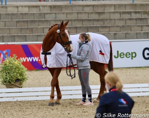Julia Porzelt’s Breitling W-offspring Bruno acted as company for another horse of team Germany who competed.