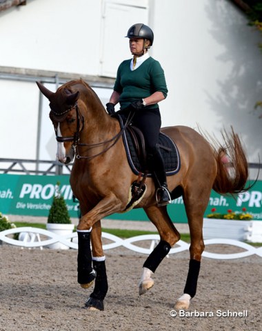 Isabell Werth schooling Bella Rose