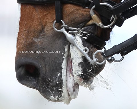 Marshmellow fluff to cover up contact issues was also on the menu in Compiègne