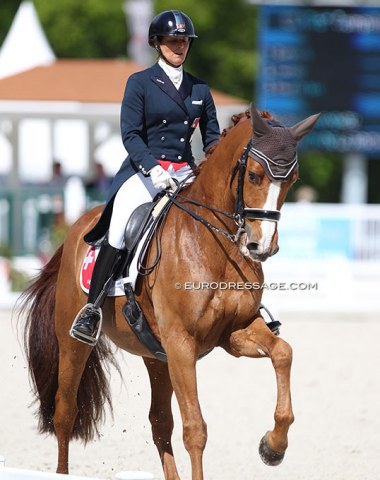 Antonella Joannou on Dandy de la Roche (by Dressage Royal x Walt Disney), a half brother to Patrik Kittel's Well Done de la Roche. They are out of the same dam.