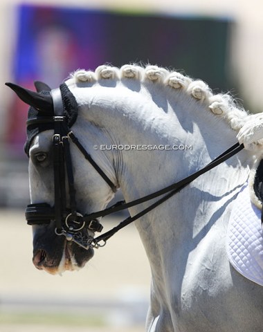 Best braids of the day: Jackpot do Penedo