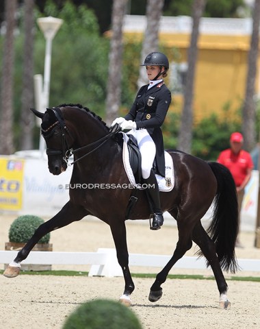 Luca Sophia Collin on Descolari