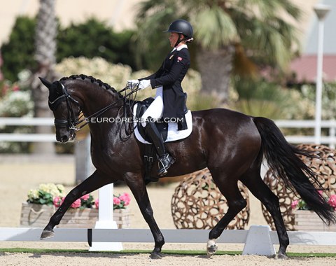 Norwegian Julia Hammer on Vimogårdens Ricca Donna (by De Noir x Rubinstein)