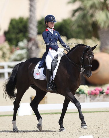 British Charlotte McDowal on Alivia (by Olivi x Roemer)