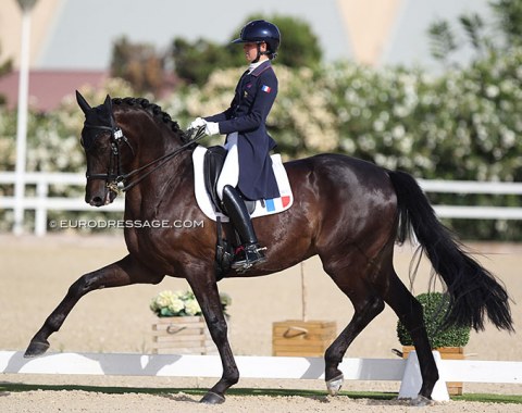 French Mado Pinto on her sponsor's home bred Hot Bit de la Gesse (by Hofrat x Rubin Royal)