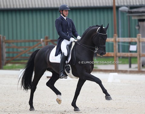 Jordi Domingo and Esprit Dond D, lovely horse but also needs a bit more time to get more relaxed and swinging in the Grand Prix work