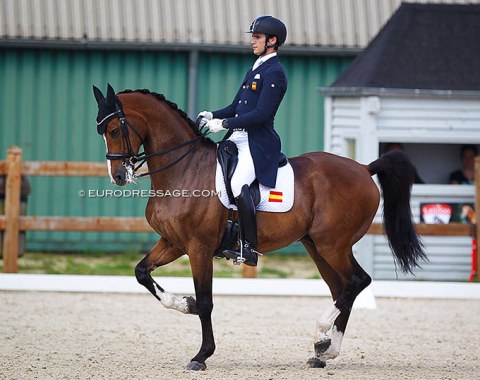 Juan Matute Guimon and Quantico came close to a team spot but was bested by Mena and Jurado. While Quantico is a very secure and reliable horse in the test, the overall image will improve with a lighter contact and more length in the neck. 