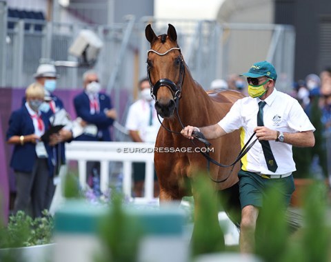 First horse to be presented at the 2021 Olympic horse inspection: Mary Hanna's Calanta from Australia