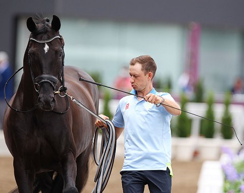 Therese Nilshagen's Dante Weltino being presented by groom Sebastian Ulrich