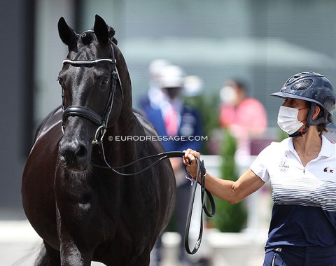 France's Maxime Collard with Cupido PB. France wore a team outfit by Lacoste