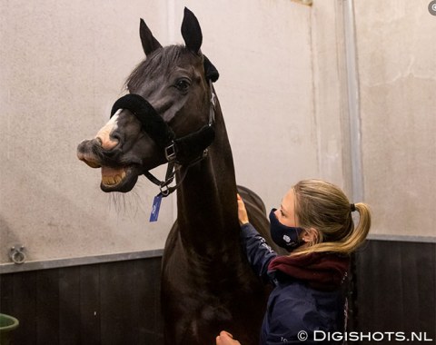 Charlotte Fry scratching Everdale