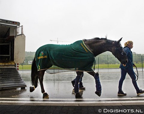 Heike Holstein with Sambuca at Liege airport