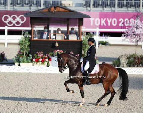 The Olympic arena looks fantastic with Japanese style judges' huts