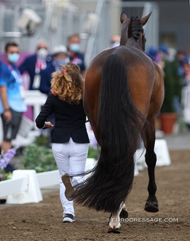 Best horse tail in show: Virginia Yarur's Ronaldo