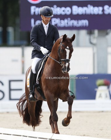Spaniard Fransisco Benitez Sanchez on Lord Platinum (by Ferguson). They were third in the Pavo Cup finals, but struggled with the walk and submission in Verden