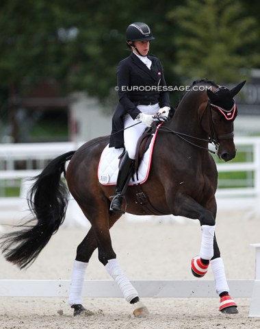 Austrian Astrid Neumayer warming up the Hanoverian gelding Dinay (by Dimaggio x Argentinus)