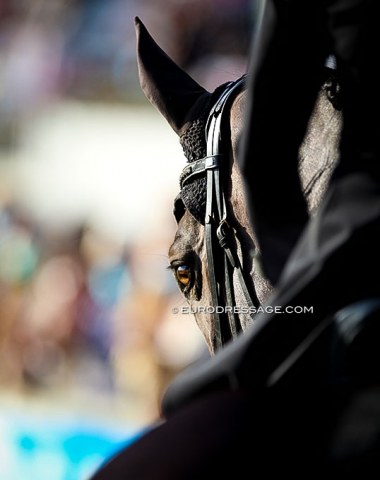 My favourite photo from Aachen this year