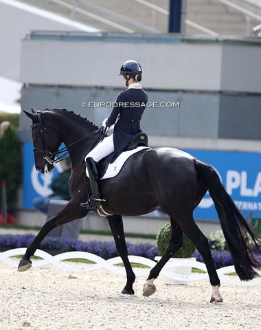 German based Australian Tayla Desmet on Zaubermaus. She trained with Christoph Koschel before moving to Ton de Ridder last January