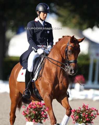 Kazuki Sado on Barolo