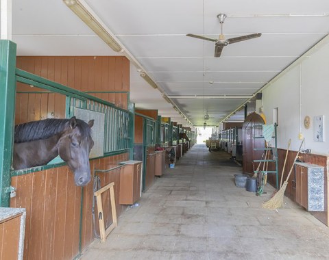 Stables in the main building