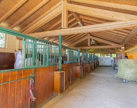 Spacious stalls with wash bay and solarium
