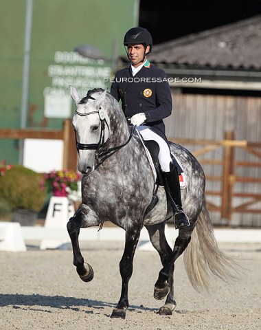 Portuguese Roberto Brasil riding the medium tour on Vila de Sagres' Lusitano stallion Hercules d'Atela