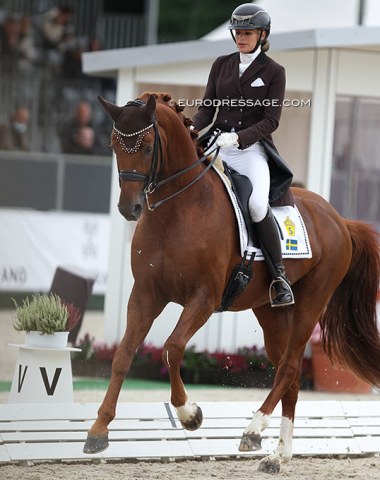 Three riders had two horses in the 7-year old finals: Helgstrand (Jovian, Queenparks Wendy), Van Uytert (Johnny Depp, Just Wimphof) and Yara Reichert (Valverde, Springbank II). This is Springbank II
