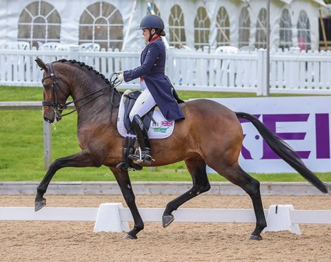 Emma Blundell on Mount St. John VIP, by Vivaldi out of Maradonna, the dam of Oldenburg champion stallion Furstenball 