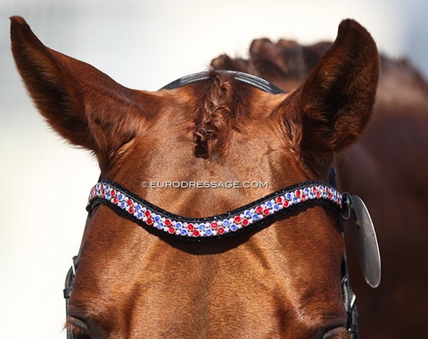 Red-white-blue browband