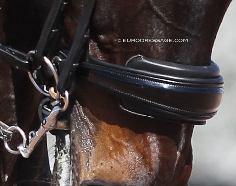 Extra padding under a noseband, one of many tacking trends in dressage sport at the moment