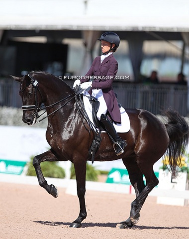 Alice Tarjan on the American bred Donatella M (by Furstenball x Jazztime). She is bred by Marne Martin-Tucker out of a mare leased from Holly Simensen