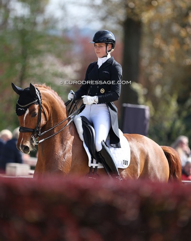 Juliane Brunkhorst on Fürst Enno, who has the most lovely marking on his face