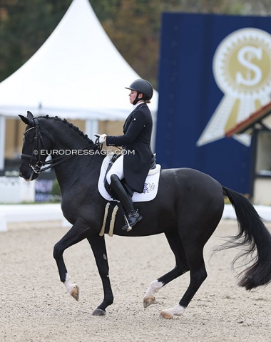 Evelyn Eger and Tabledance (by Totilas x Rimini), yet another Totilas' offspring showing great rideabiity and talent for Grand prix