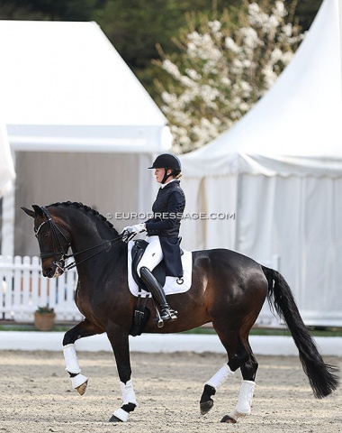 Charlotte Heering warming up 16-year old KWPN gelding Bufranco (by Negro x Zevenster)