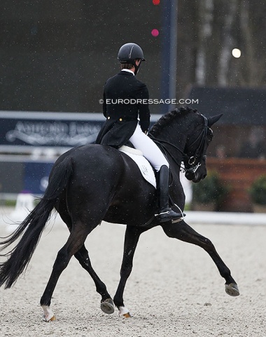 German professional Kyra Wulferding doing her first CDI outside Germany in her career ! Here aboard her World Young Horse Championship ride Soiree d'Amour